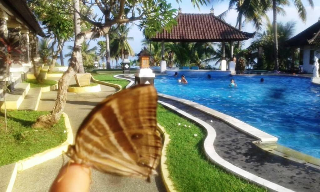 Bali Sunset Hotel Negara  Exterior foto